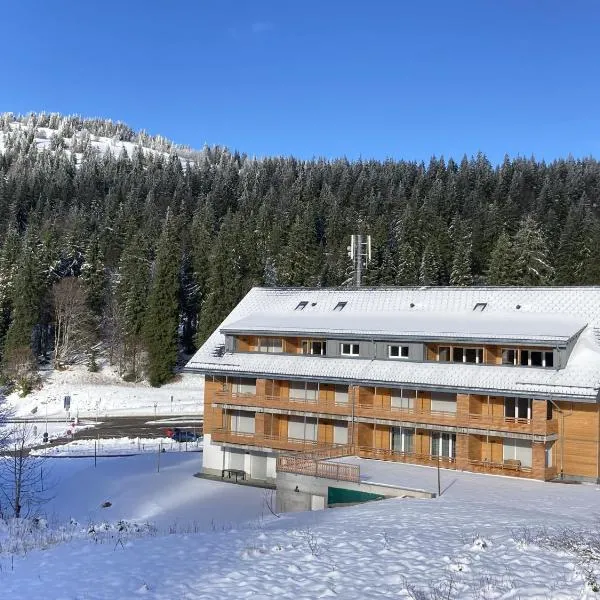 Haus Wiesenquelle, hotel in Feldberg