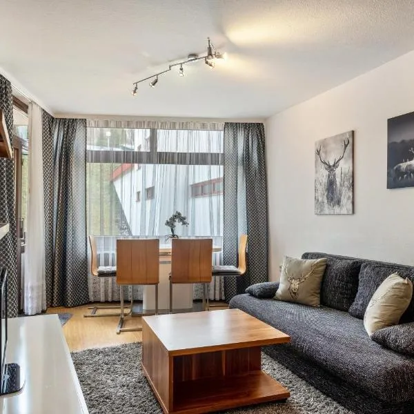 2 Zimmer Appartement mit Pool, Hotel in Schluchsee