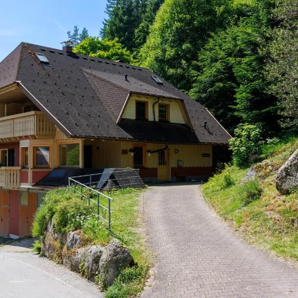 Hinterhauensteinhof, Hotel in Hornberg
