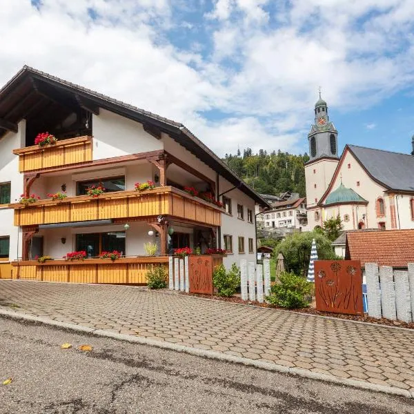 Gästehaus Hanni, hotel in Todtmoos