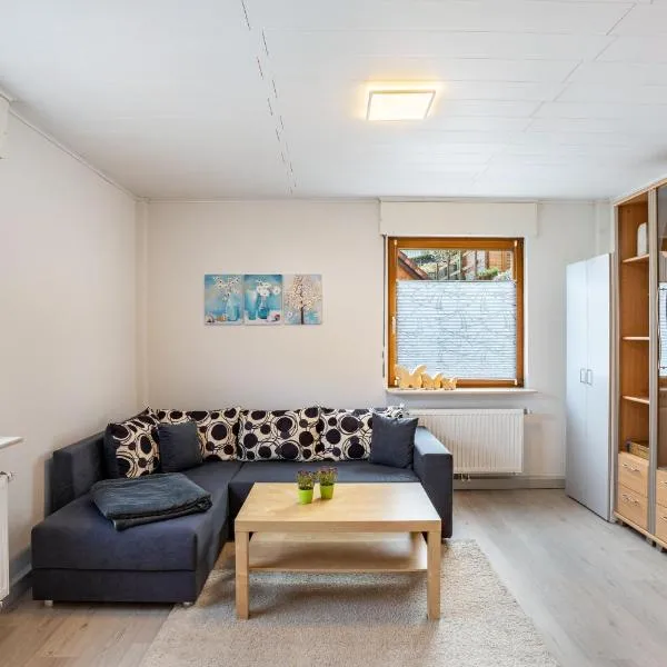 Ferienwohnung Brigitte, hotel en Forbach