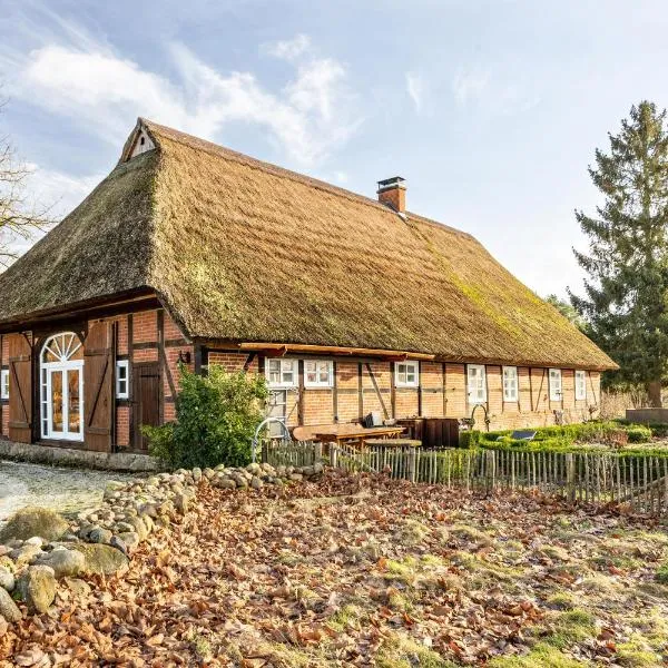 Ferienwohnung Juttashof、Caminのホテル