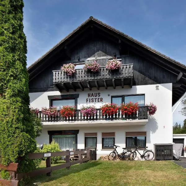 Apartmenthaus Fister, hotel din Schluchsee
