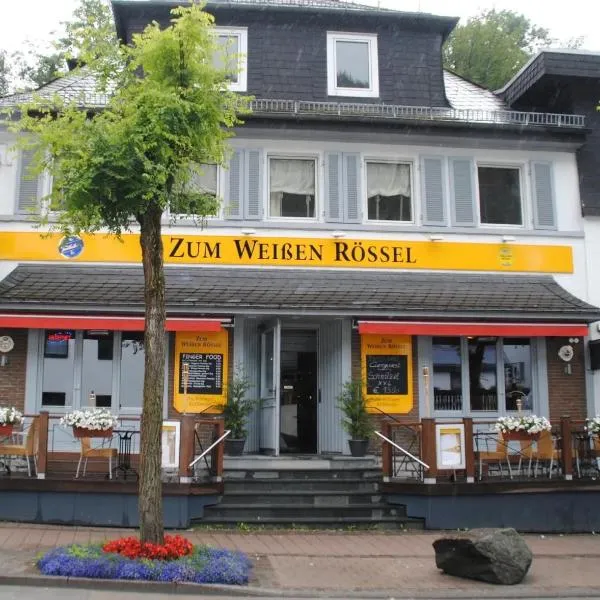Ferienwohnungen Roth, hotel in Willingen