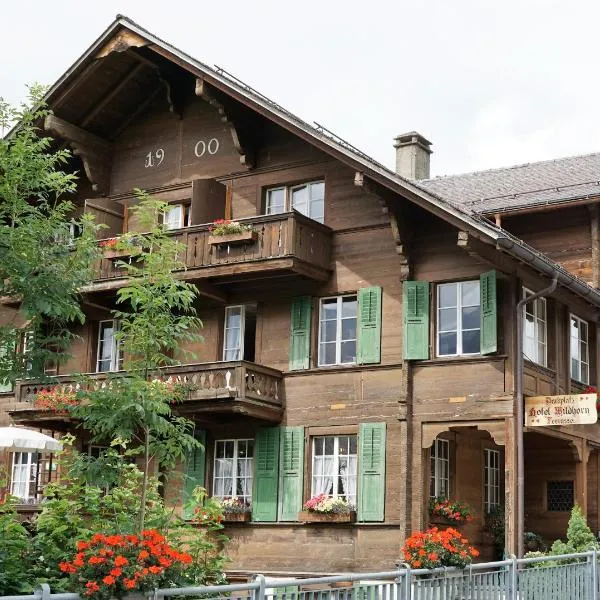 Hotel Wildhorn, hotel v destinaci Lauenen