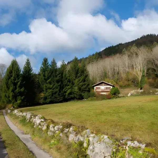 Gite Nature L'orée Des Etoiles, hotel di Stosswihr