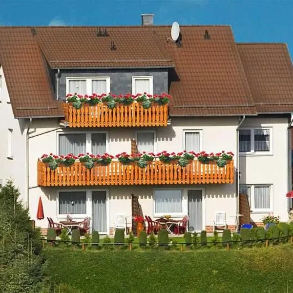 Haus Nietmann_ Ferienwohnung 2, hotel i Altenau