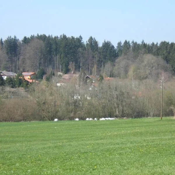 Ferienwohnung Schwahn, Hotel in Kleinschönach
