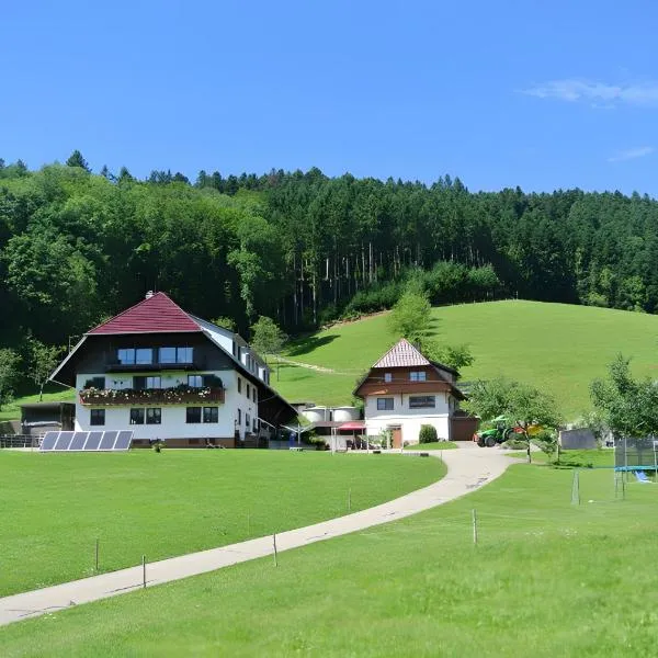 Vordersbergerhof, hotel i Hausach