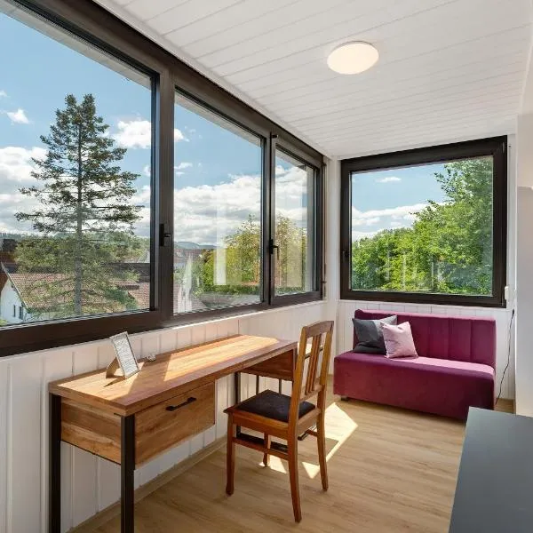 Modern eingerichtetes Apartment, hotel din Achern