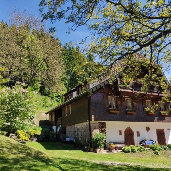 Ferienwohnungen Vogt's Libding, hotel in Bad Rippoldsau-Schapbach