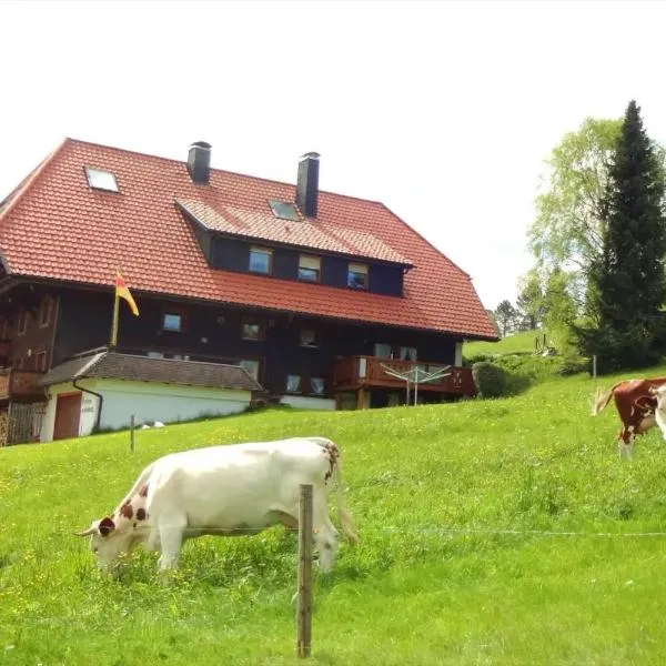 Haus Winterberg, hotel i Schonach