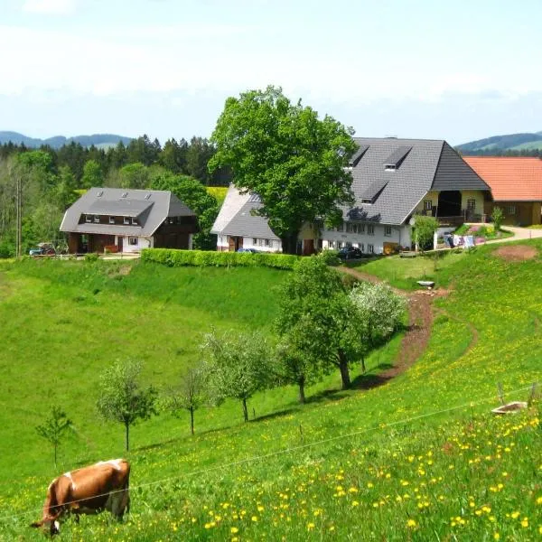 Brosihof, hotel em Erlenbach