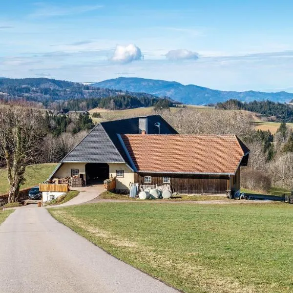 Brosihof, hotell sihtkohas Erlenbach