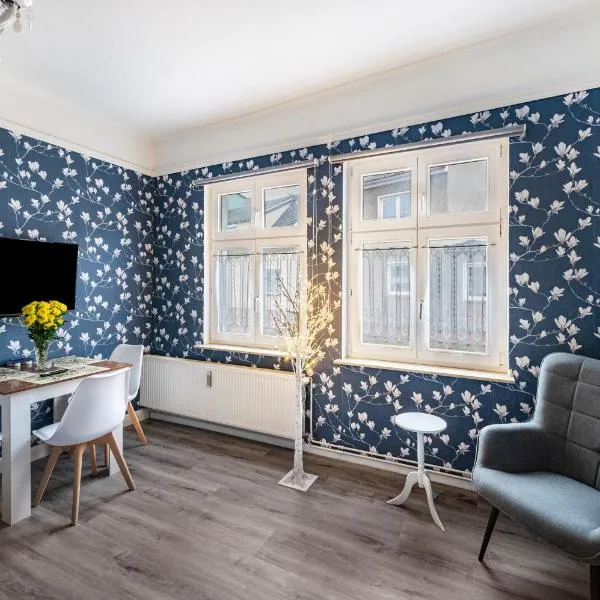 Studio zur »Alten Schmiede«, hotel u gradu Laage