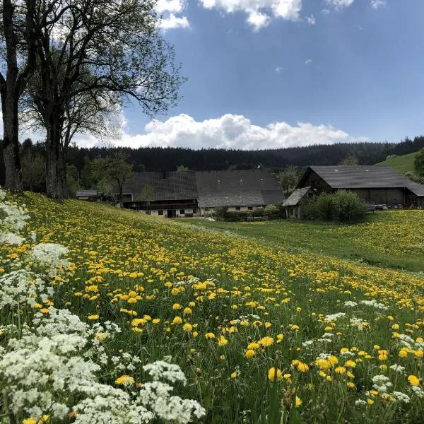 Biobetrieb Lippenhof, hótel í Breitnau