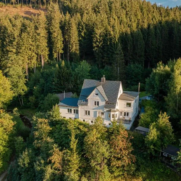 Villa Hoheneck – hotel w mieście Wildemann