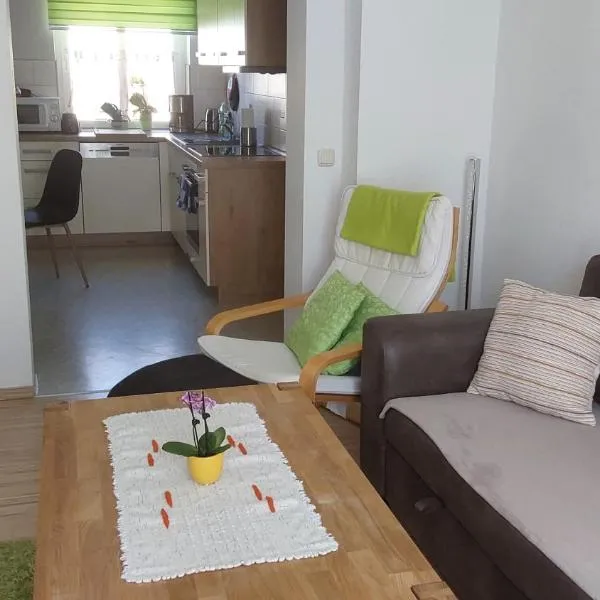 Kleine gemütliche Wohnung In Erfurt، فندق في إرفورت