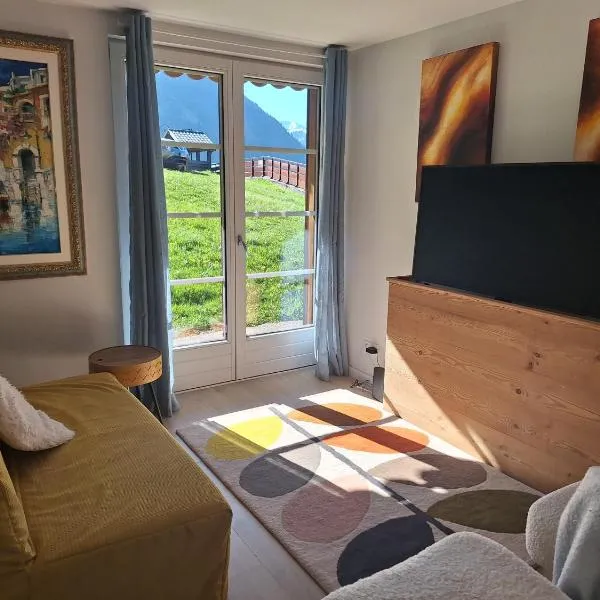 Alpine ski apartment - Petit Chatel, hotel em Châtel