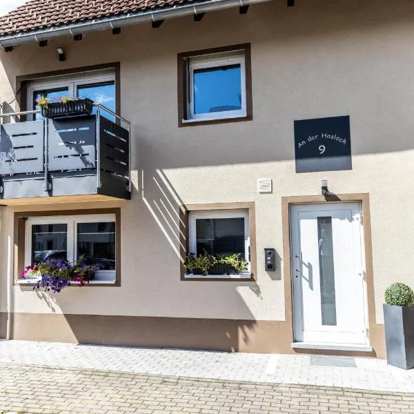 Haus an der Haslach, hotelli kohteessa Lenzkirch