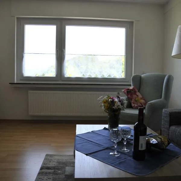 키르훈뎀에 위치한 호텔 Rothaarsteig Ferienhaus