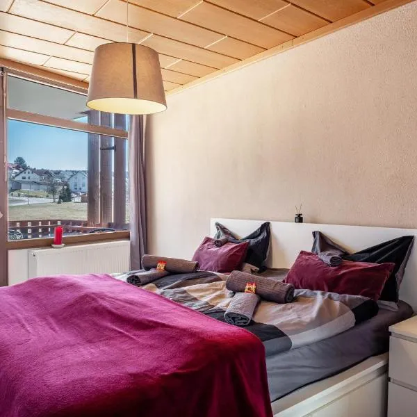 Ferienwohnung Schluchseetraum, Hotel in Schluchsee
