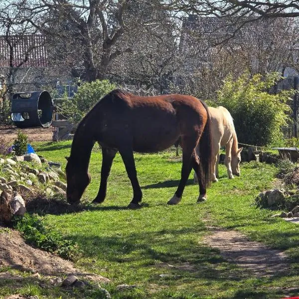 La petite ferme de Fine, hotel Burg bei Magdeburg városában