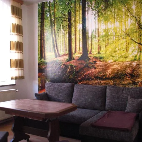 Ferienwohnung Rose, hotel en Schöneck