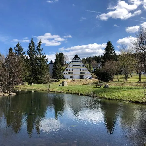 2 Zimmer Wohnung, mit Sonnenterasse, hotell i Schönwald