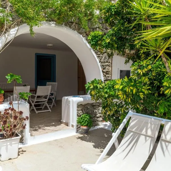 Afroditi Ftelia Yasemi b, hotel in Mykonos