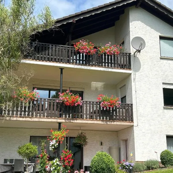 Zur schönen Aussicht, hotel en Bad Wildungen