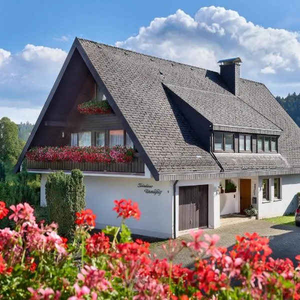Ferienhaus Unmüßig, hotel em Hinterzarten