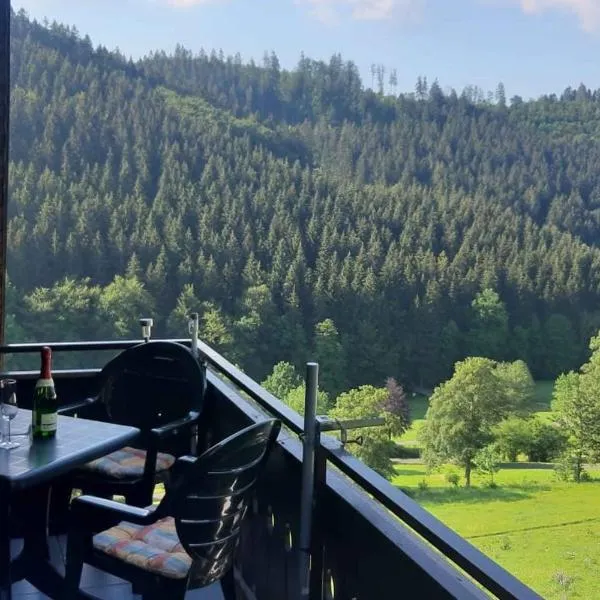 Ferienwohnung Nordenau, hotell i Schmallenberg