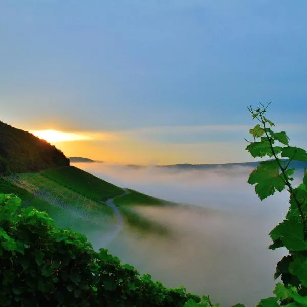 Winzerhof Düring, hotel a Iphofen
