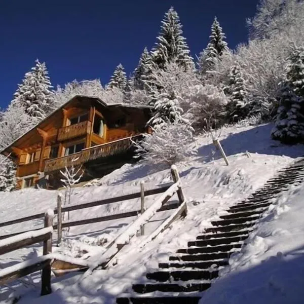 La Rissole - Chalet familial, hotel in Châtel