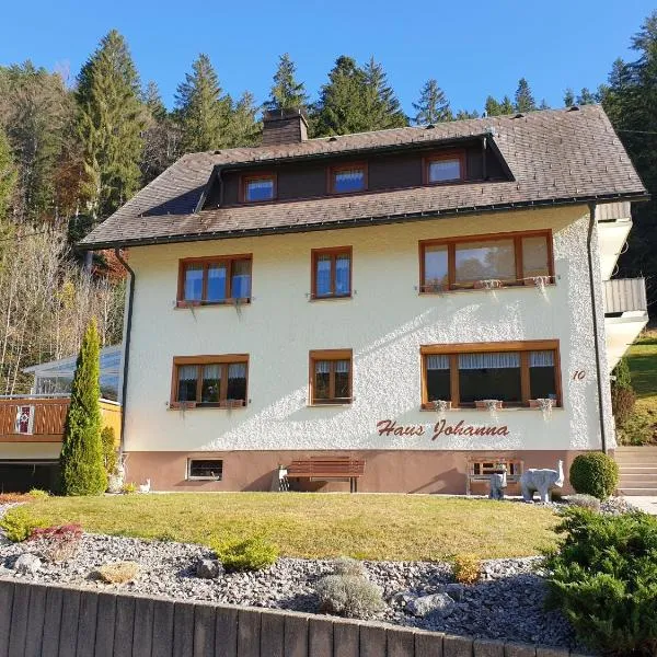 Haus Johanna, hotel din Todtmoos