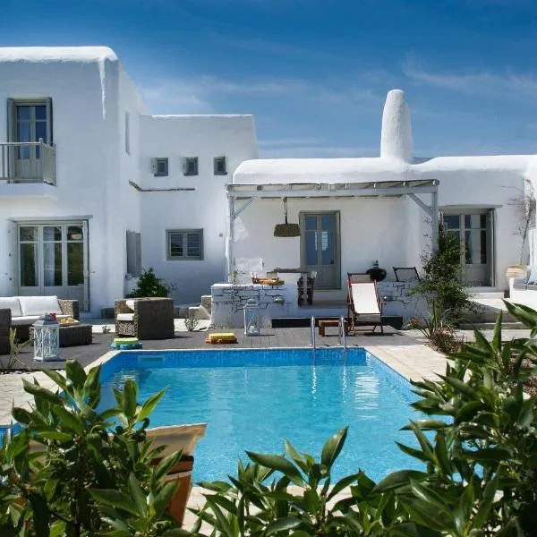 House with private pool, Hotel in Naoussa