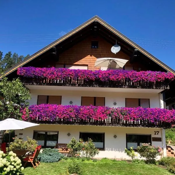 Haus Hubertus, hotel v destinaci Enzklösterle