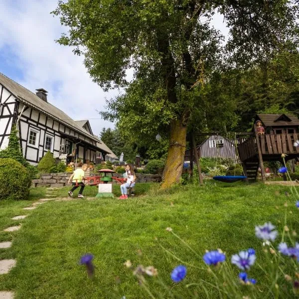 Hof Keppel, der stromlose Urlaub – hotel w mieście Schmallenberg