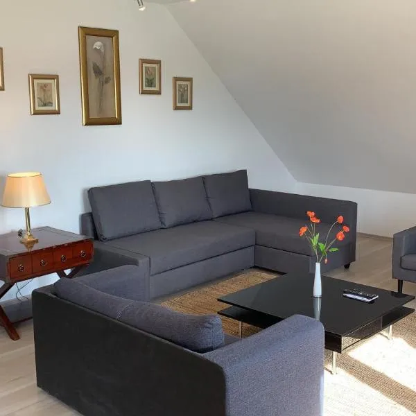 promedklinik apartment 2, Hotel in Volkach