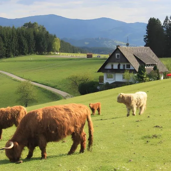 Café Pension Pfaus Heidburg, hotell sihtkohas Mühlenbach