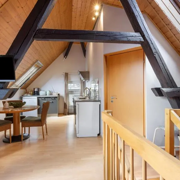 Ferienwohnung an der Brigach โรงแรมในโดเนาเอชิงเงน