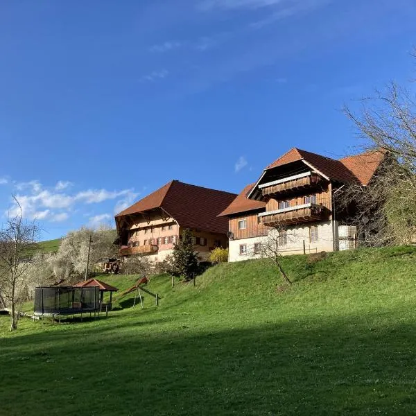 Ferienwohnung Schwörerhof, hotel din Schweighausen