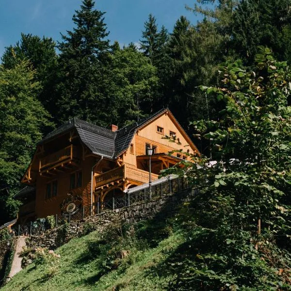 Pensjonat Alpejski Dwór, hotell sihtkohas Międzygórze