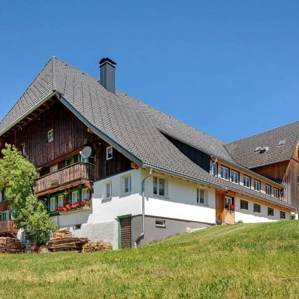 Hanisenhof, hotel din Titisee-Neustadt