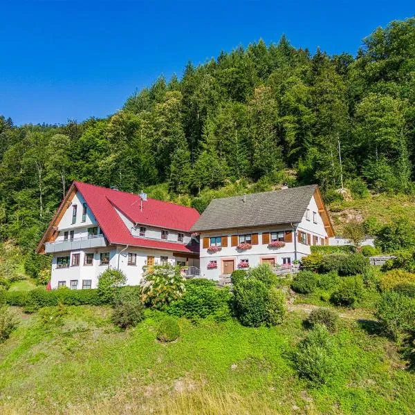 Haus Niedermättle, hotel en Oppenau