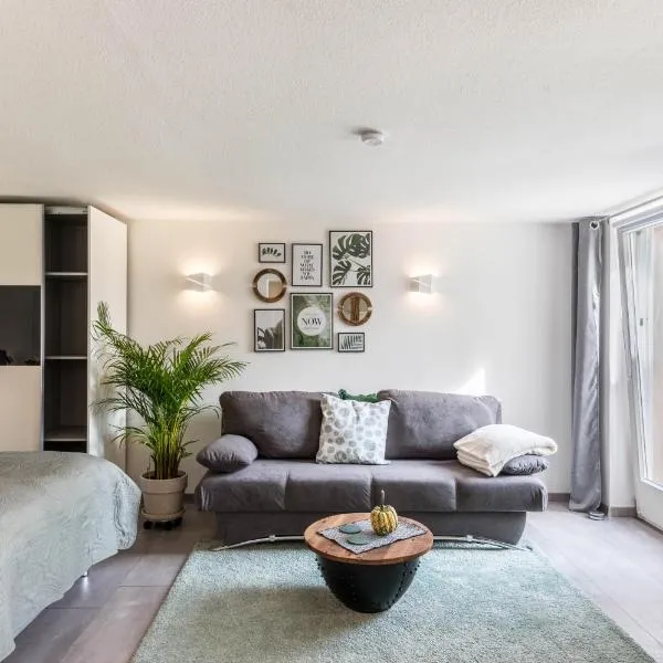 Ferienwohnung Schweizer, hotel u gradu Gajnhofen