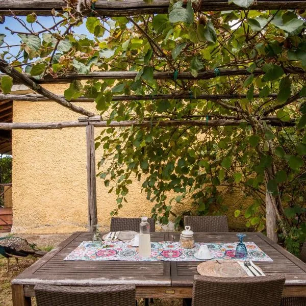 Glicine, hotel a Montieri