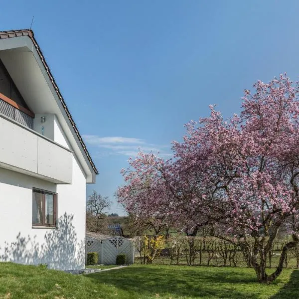 Scheinbuch में, होटल Haus Hasenweide