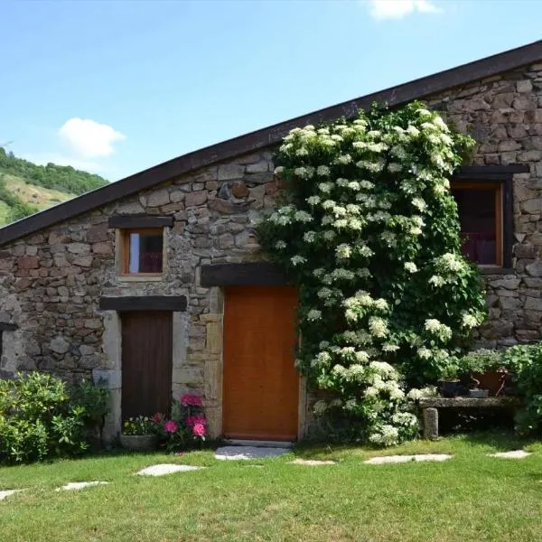 Chambre d'hôtes La Framboisine, hôtel à Bourgvilain